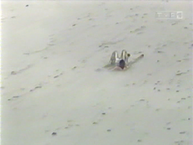 Sven Hannawald (TVP)